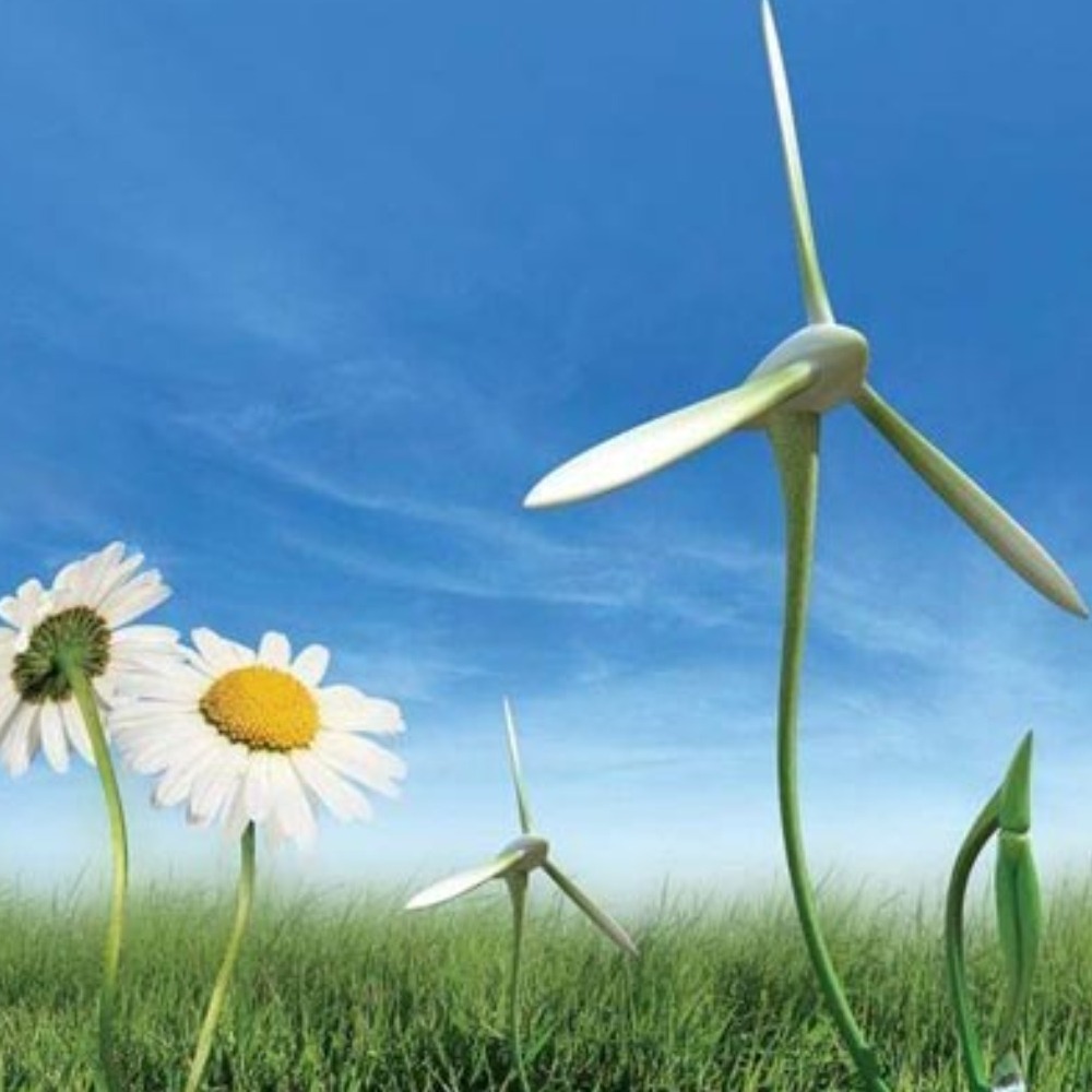 Enerji Sektörel Bakış, 2021 raporuna göre temiz enerji kullanımı arttı