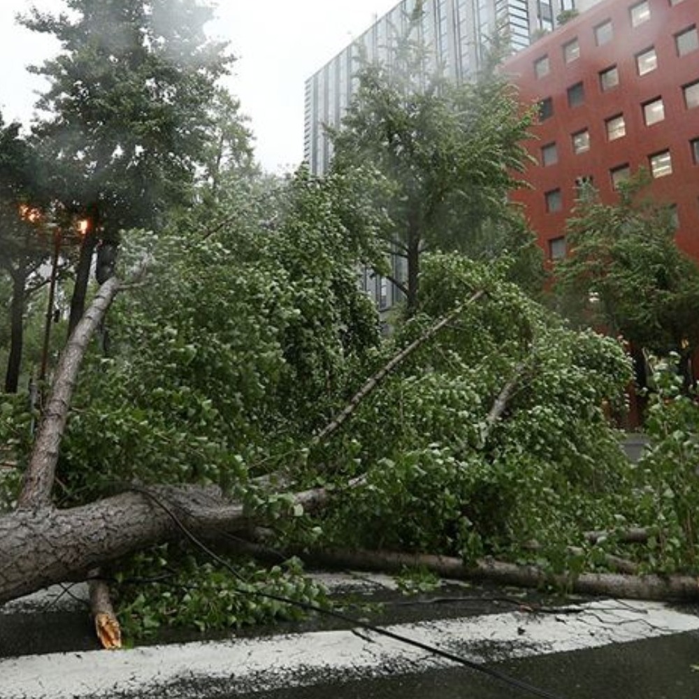 Japonya’da Haişen tayfunu nedeniyle 8 milyonu aşkın kişinin tahliyesi istendi