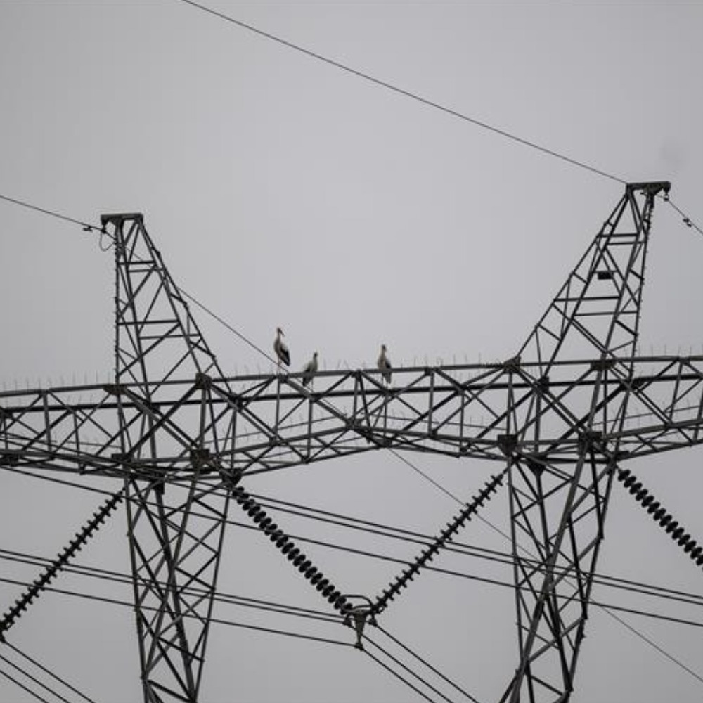 Günlük elektrik üretim ve tüketim verileri